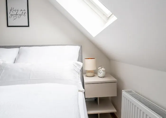 Coy - Spacious For Companies, Groups & Workers