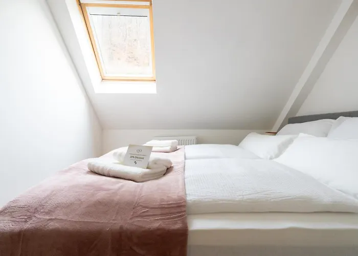 Coy - Spacious For Companies, Groups & Workers