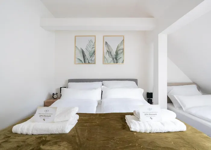 公寓 Coy - Spacious For Companies, Groups & Workers