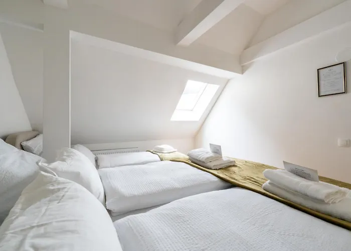 公寓 Coy - Spacious For Companies, Groups & Workers *